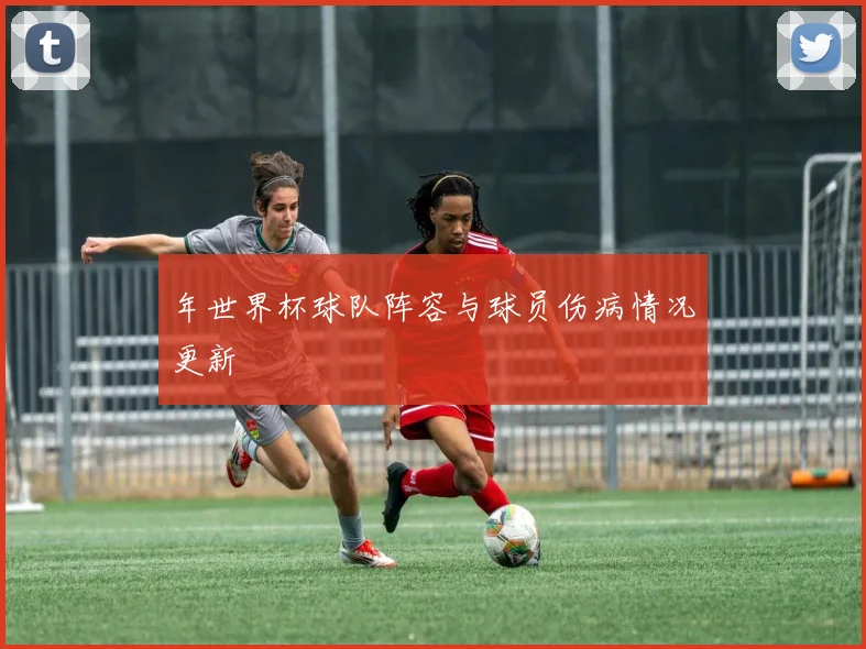 年世界杯球队阵容与球员伤病情况更新