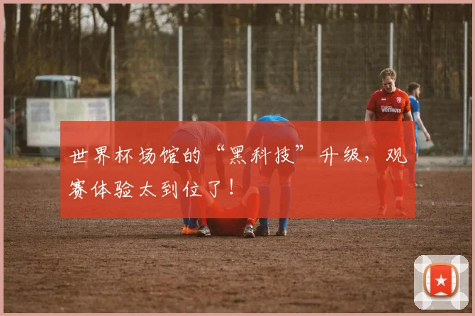 世界杯场馆的“黑科技”升级，观赛体验太到位了！