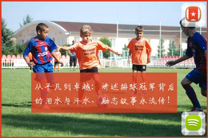 从平凡到卓越：讲述排球冠军背后的泪水与汗水，励志故事永流传！
