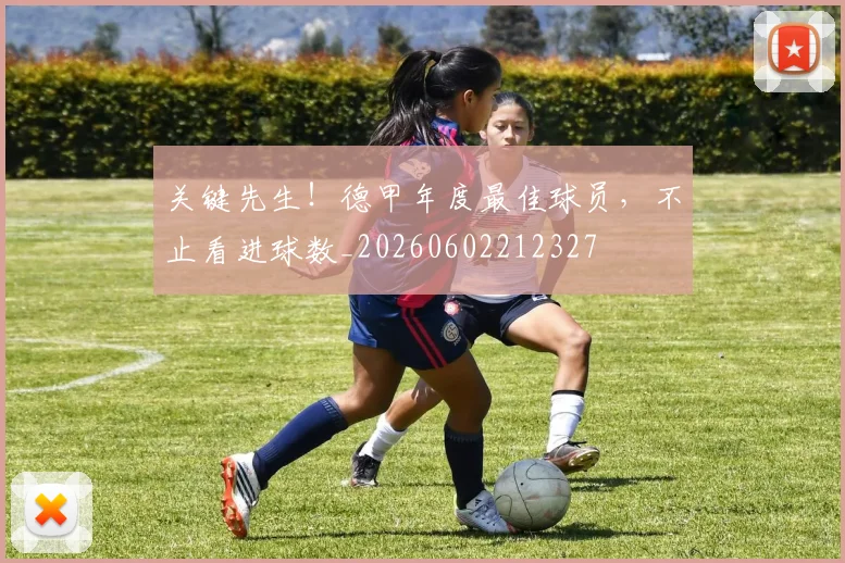 关键先生！德甲年度最佳球员，不止看进球数_20260602212327